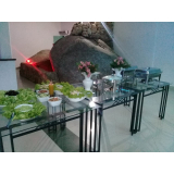 buffet para almoço de aniversário sob encomenda Santa Efigênia